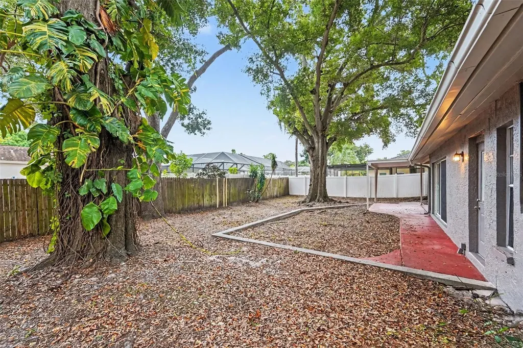 2431 Grove Ridge Drive Palm Harbor FL 34683