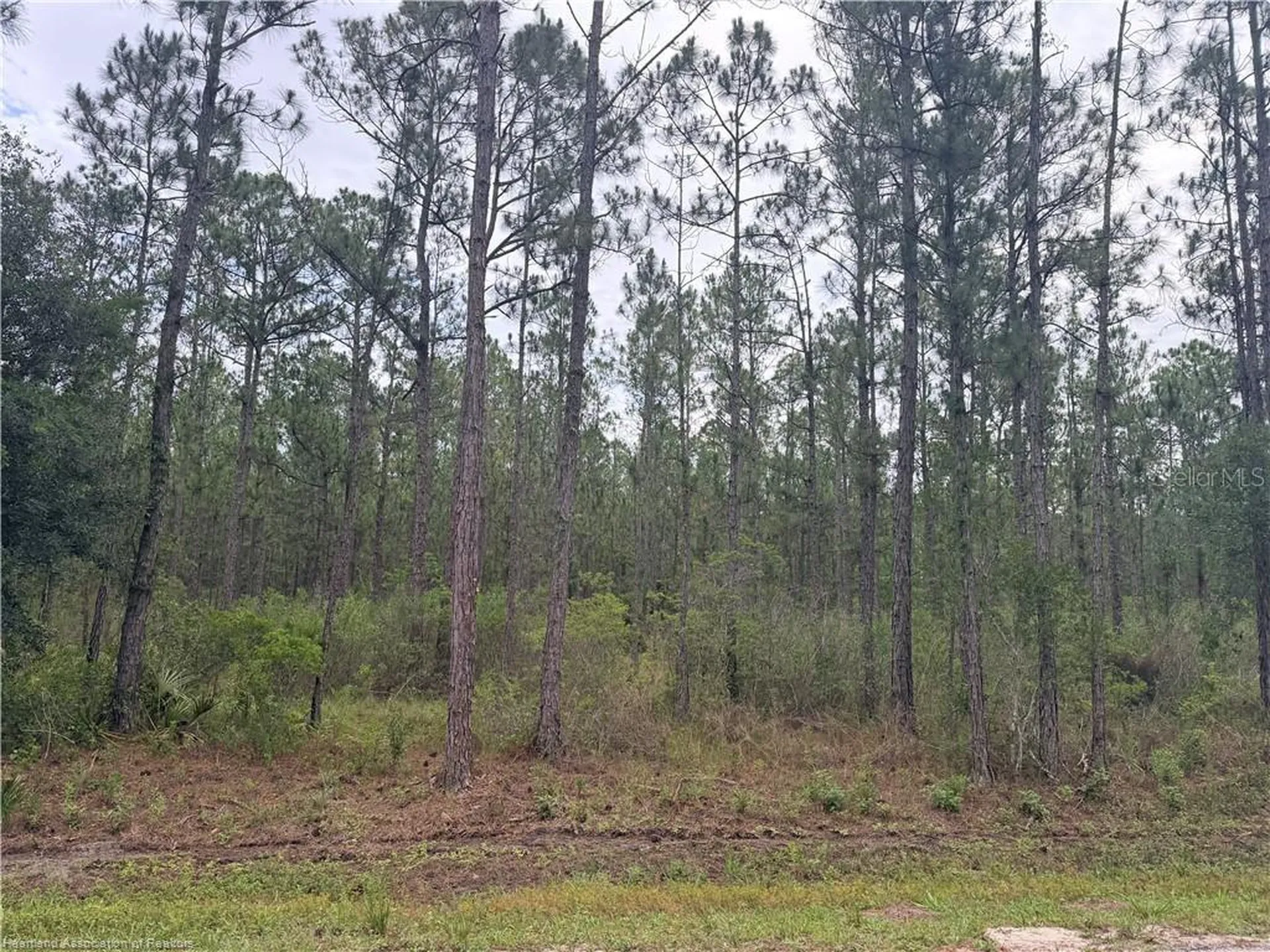 6438 Merrick Drive Sebring FL 33872