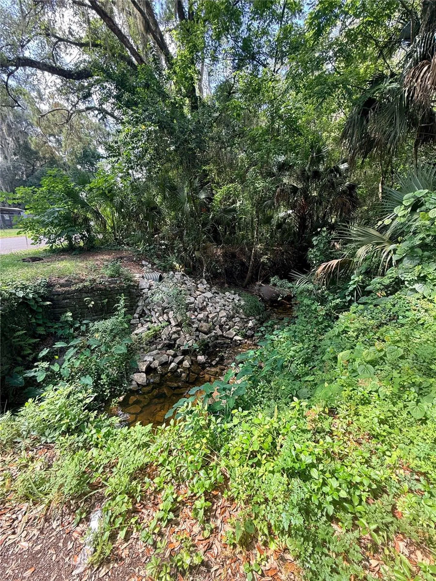 1229 NE 3rd Avenue Gainesville FL 32641
