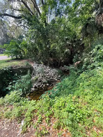 1229 NE 3rd Avenue Gainesville FL 32641