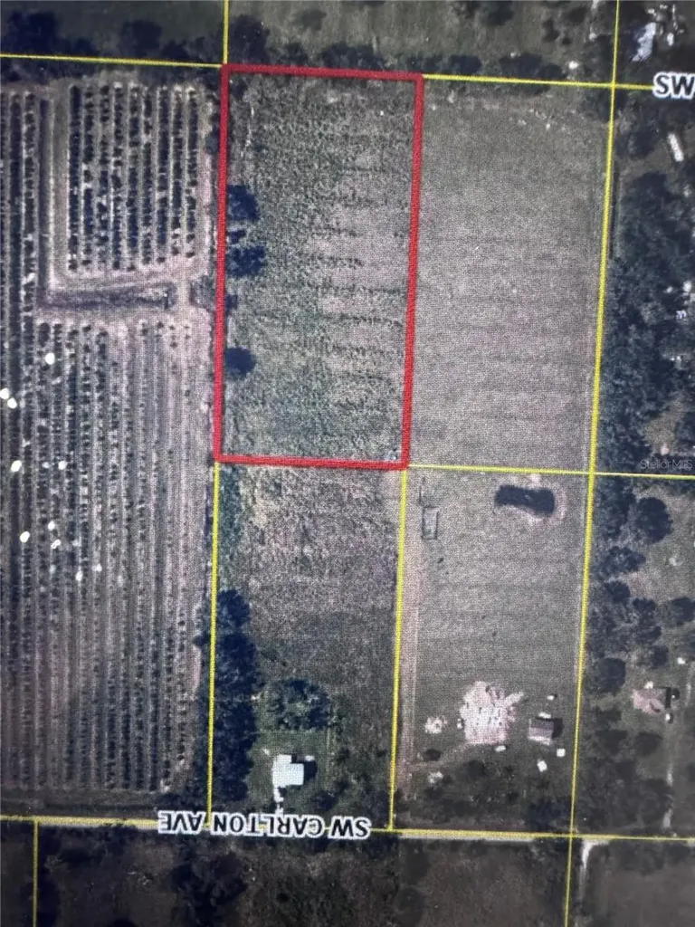 5623 SW Carlton Avenue Arcadia FL 34266