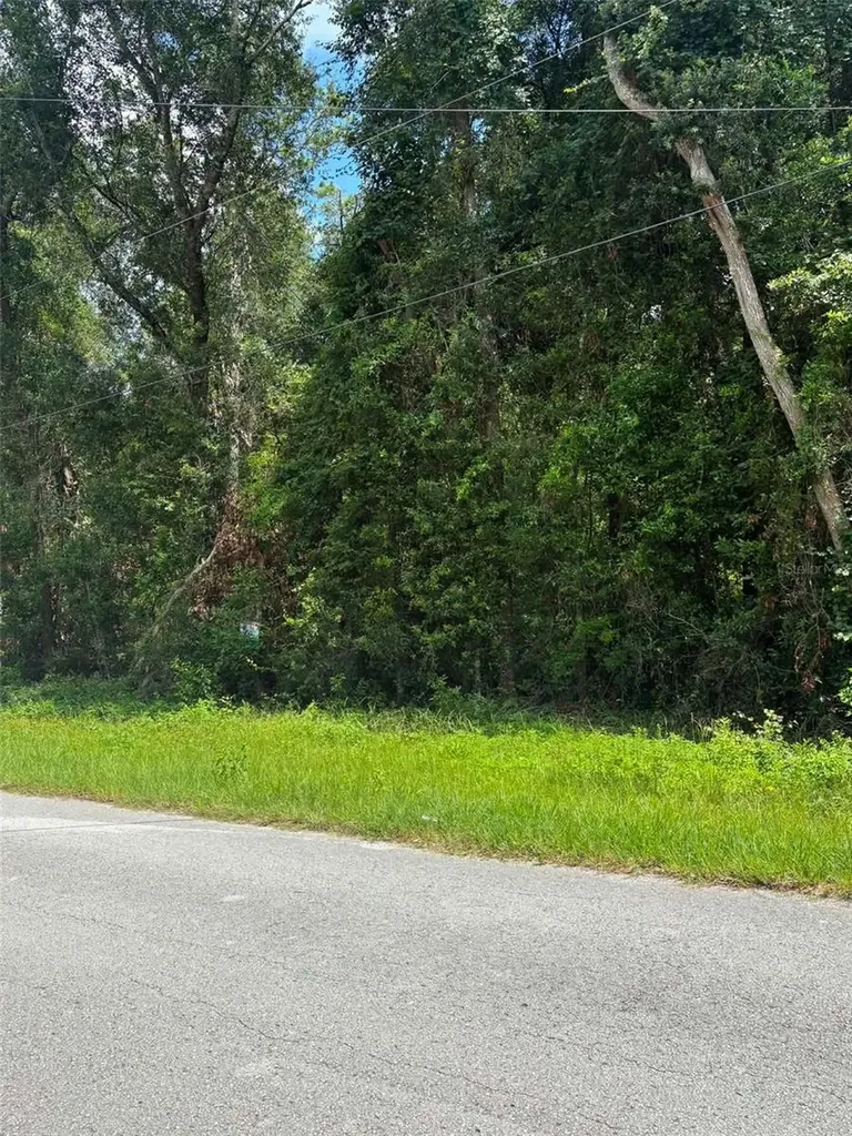 0000 NW 166th Street Trenton FL 32693
