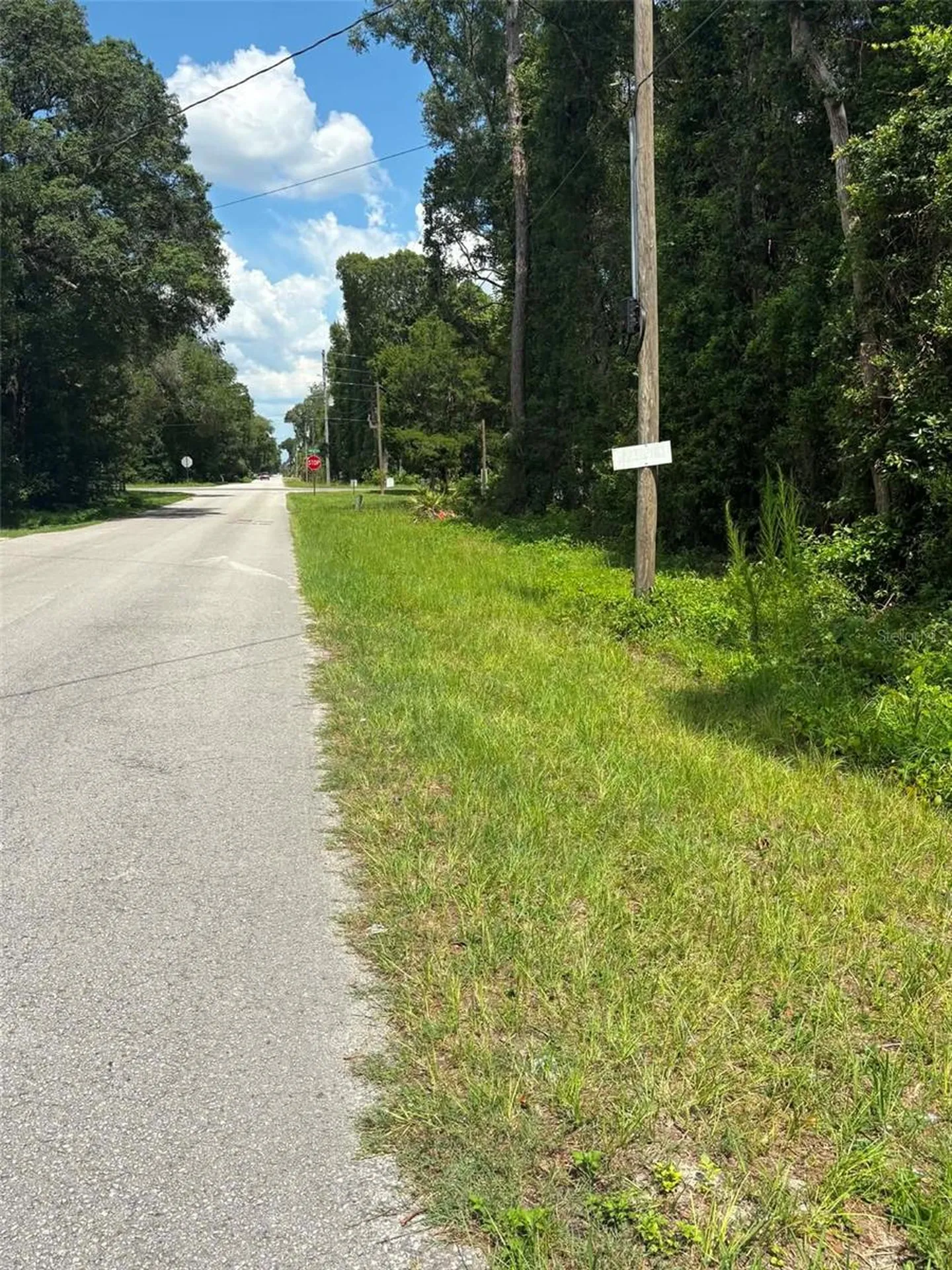 0000 NW 166th Street Trenton FL 32693