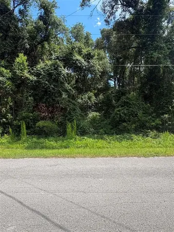 0000 NW 166th Street Trenton FL 32693