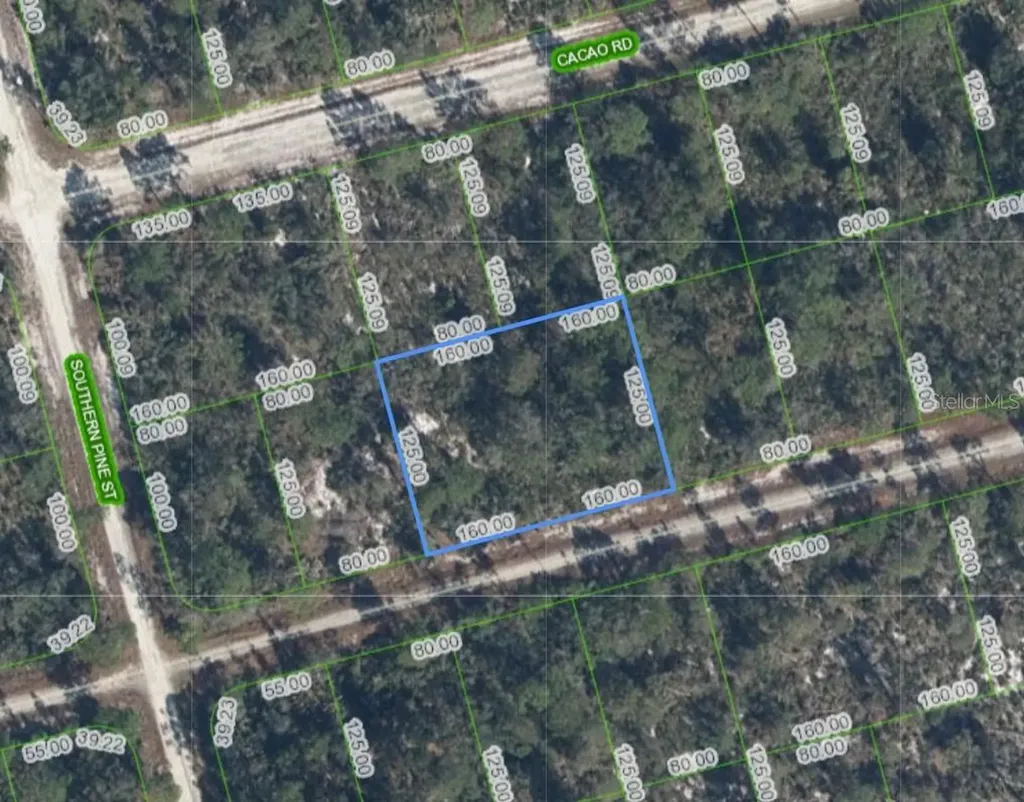 3047 Willow Avenue Lake Placid FL 33852