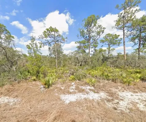 3047 Willow Avenue Lake Placid FL 33852
