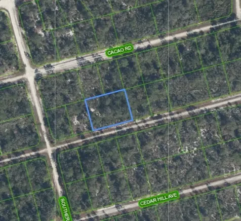 3047 Willow Avenue Lake Placid FL 33852