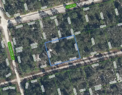 3047 Willow Avenue Lake Placid FL 33852