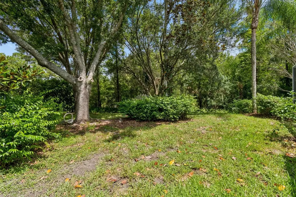 10201 Garden Alcove Drive Tampa FL 33647