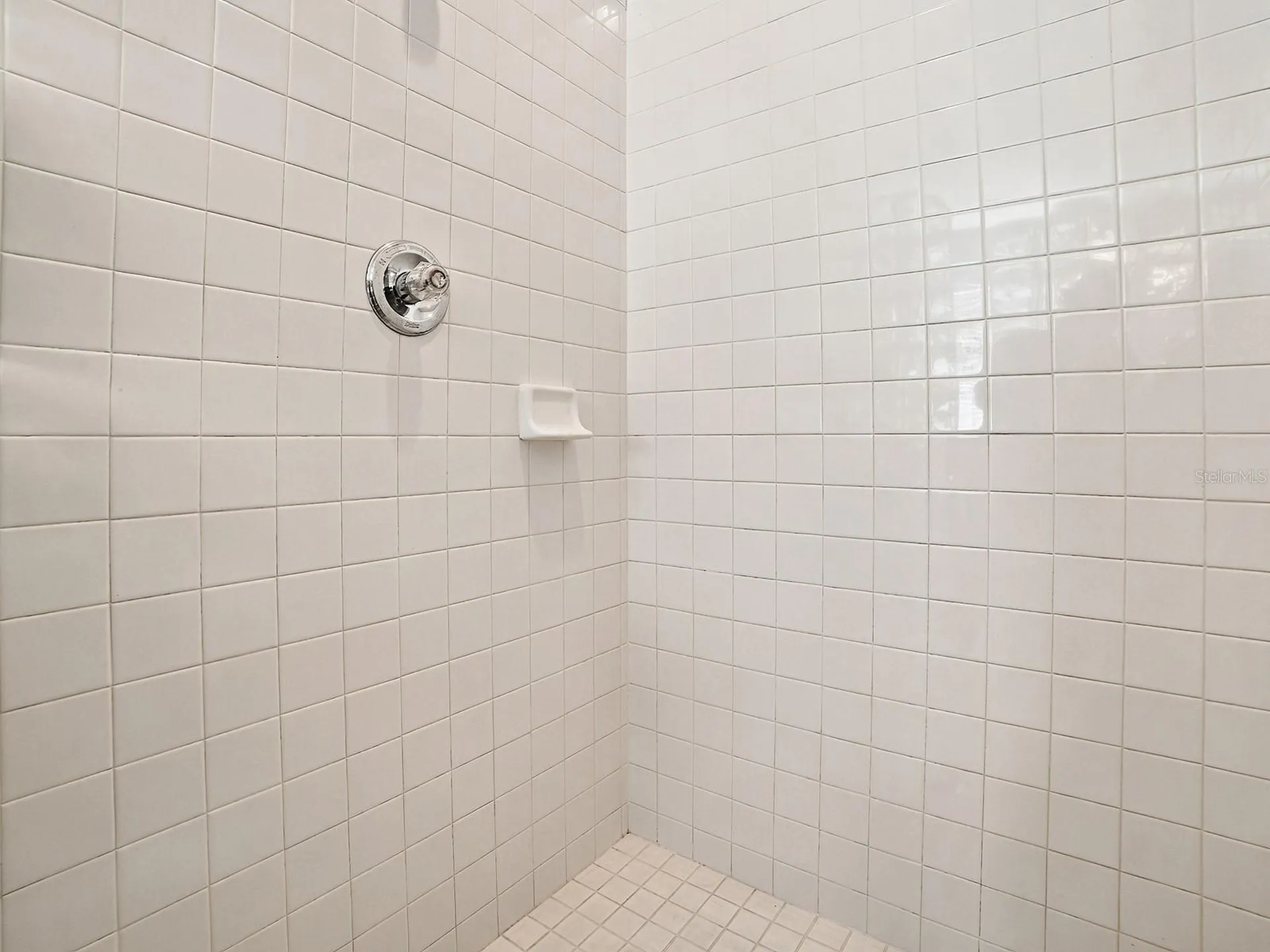 830 Old Oaks Lane Leesburg FL 34748