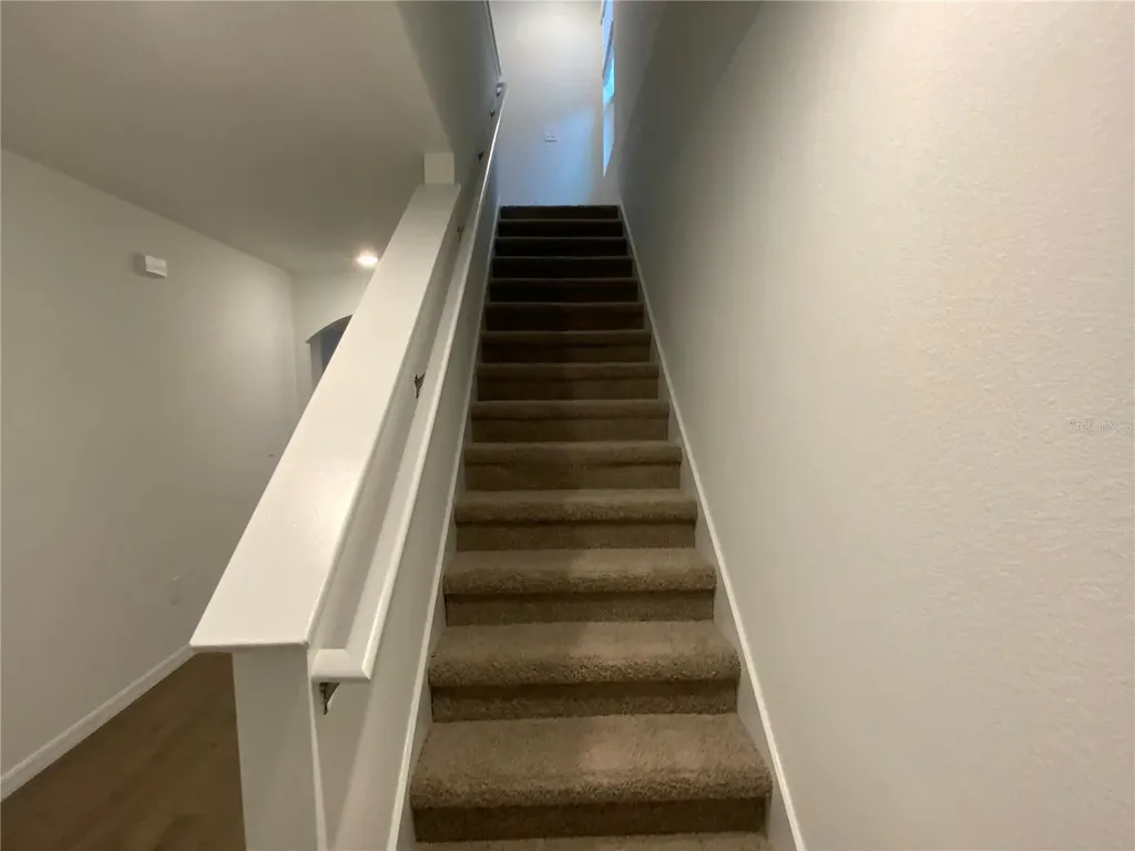 32322 Evening Grove Court Wesley Chapel FL 33543
