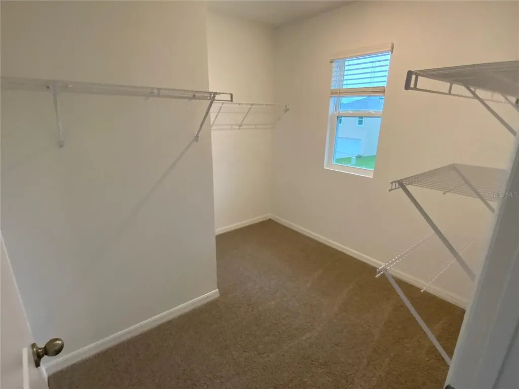 32322 Evening Grove Court Wesley Chapel FL 33543