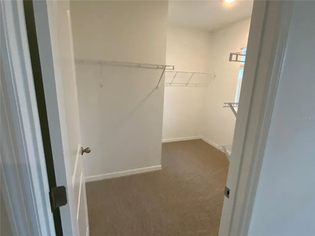 32322 Evening Grove Court Wesley Chapel FL 33543