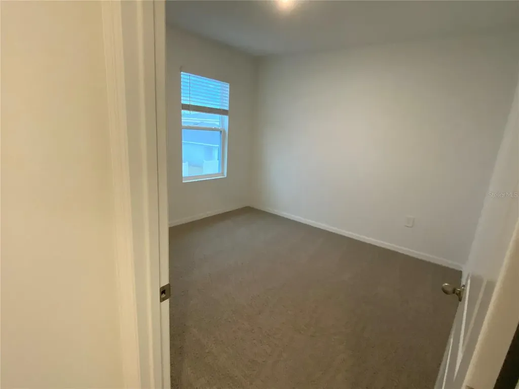 32322 Evening Grove Court Wesley Chapel FL 33543