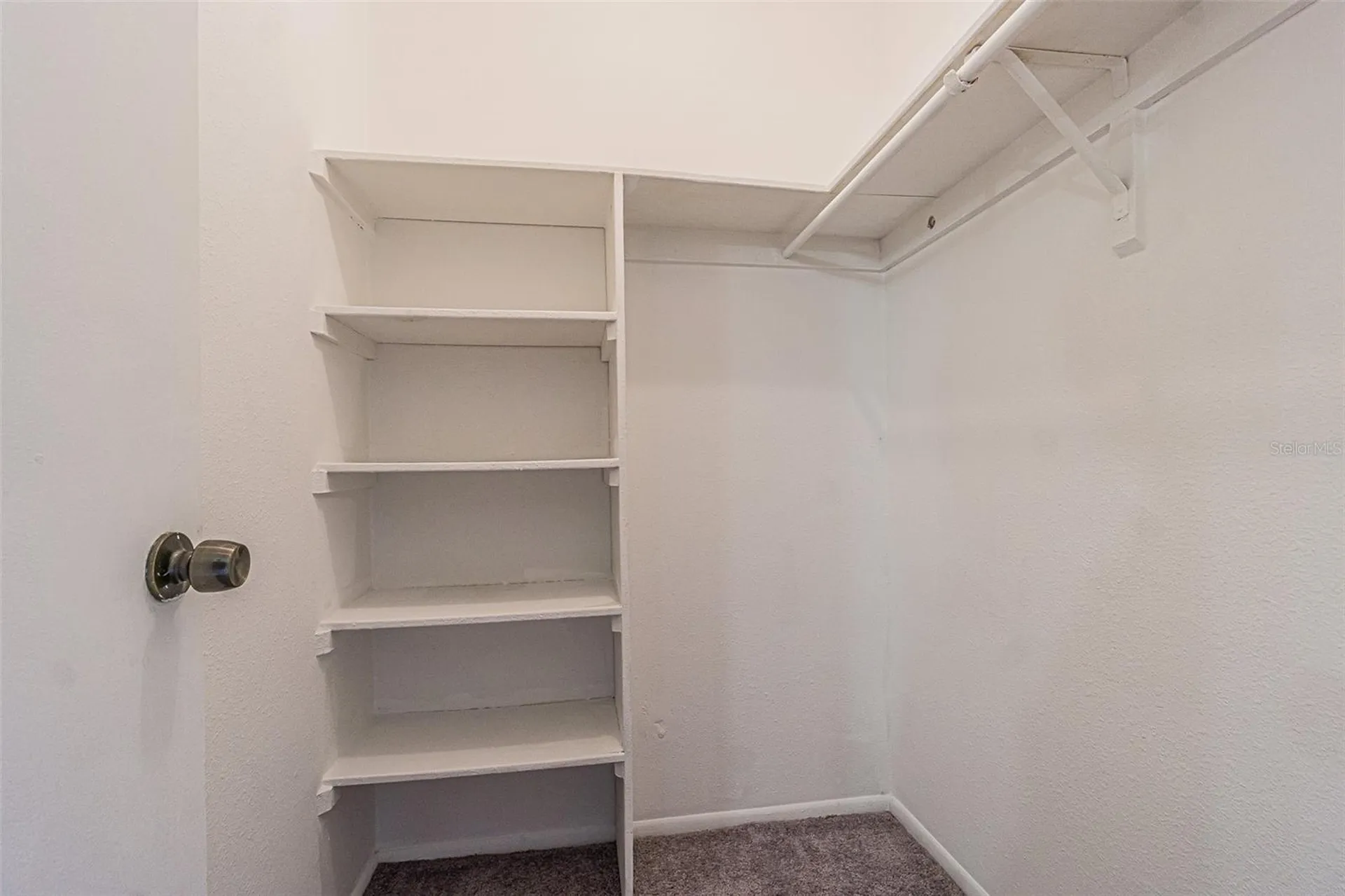 7517 Abonado Road Tampa FL 33615