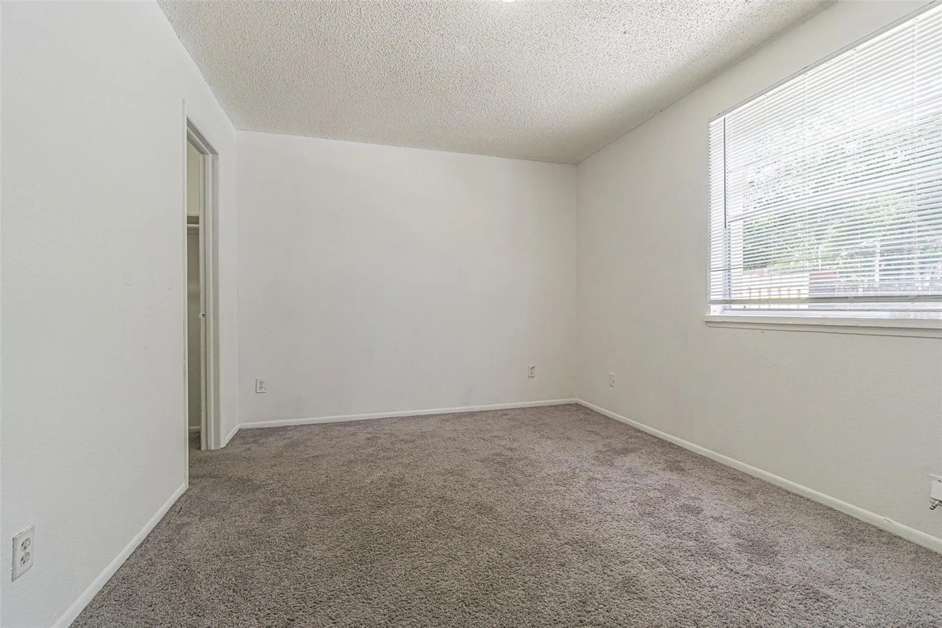 7517 Abonado Road Tampa FL 33615