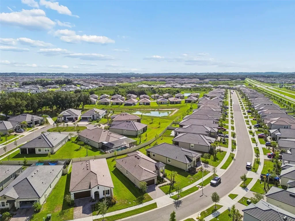 31735 Griffin Sands Lane San Antonio FL 33576