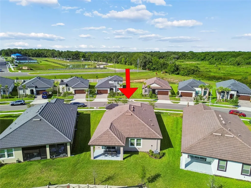 31735 Griffin Sands Lane San Antonio FL 33576