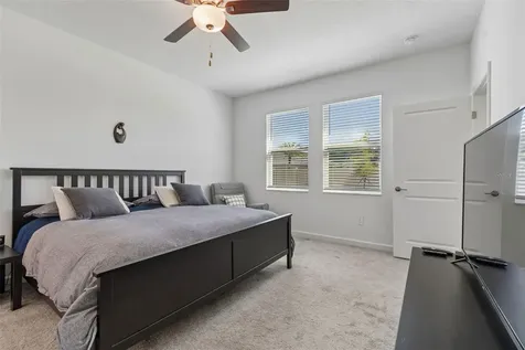 31735 Griffin Sands Lane San Antonio FL 33576