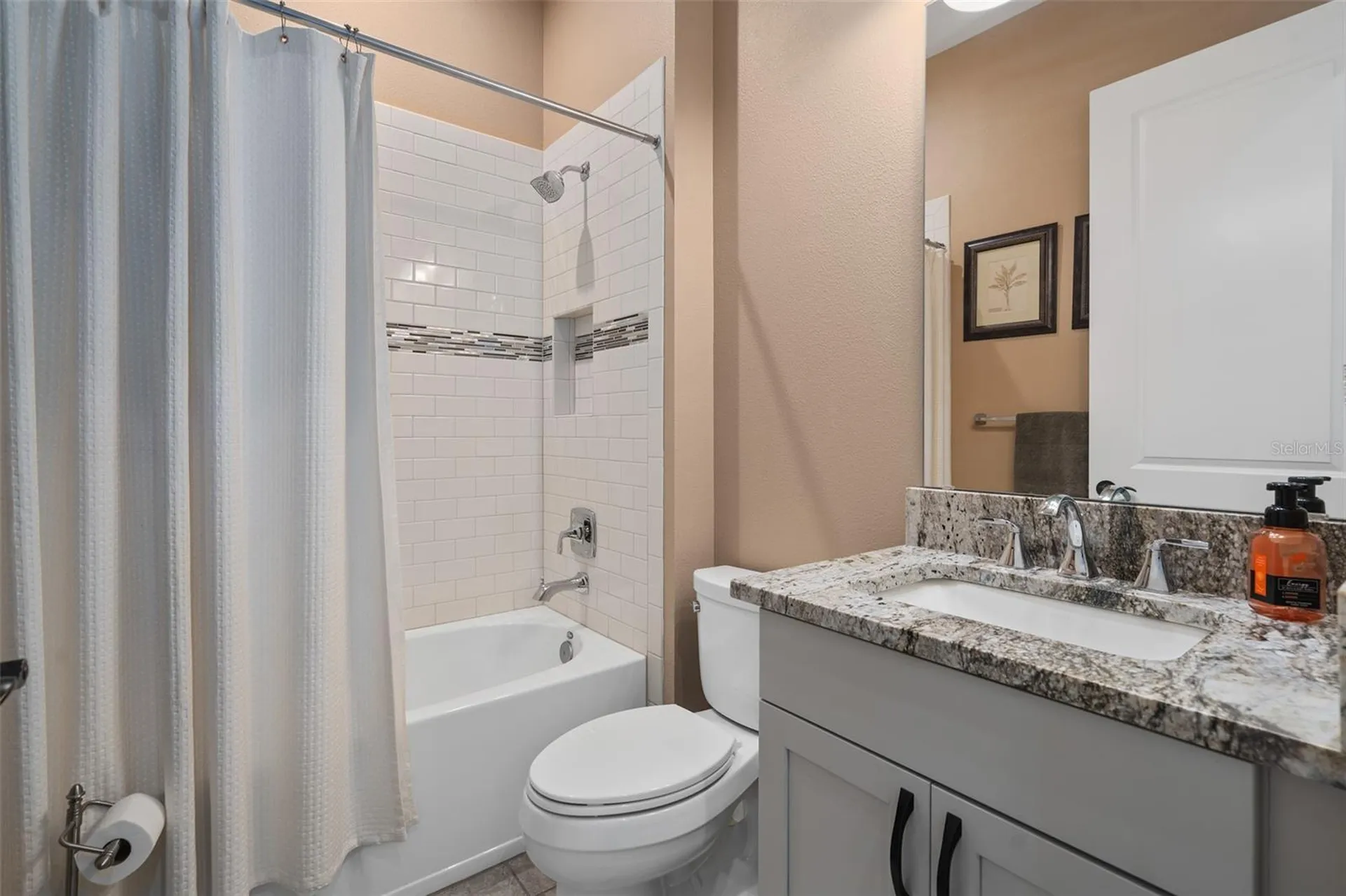 1357 Zeek Ridge Street Clermont FL 34715