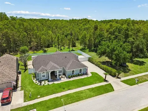2154 Ground Squirrel Drive New Port Richey FL 34655