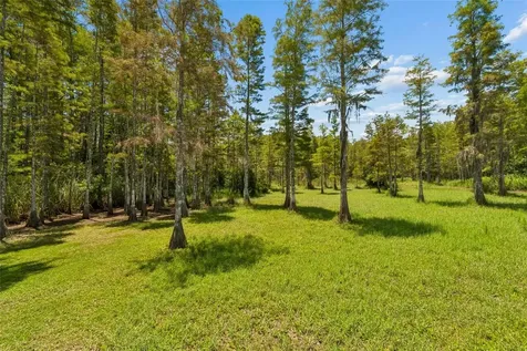 2154 Ground Squirrel Drive New Port Richey FL 34655