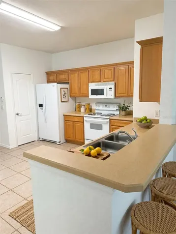 20008 Nob Oak Avenue Tampa FL 33647