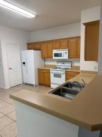 20008 Nob Oak Avenue Tampa FL 33647