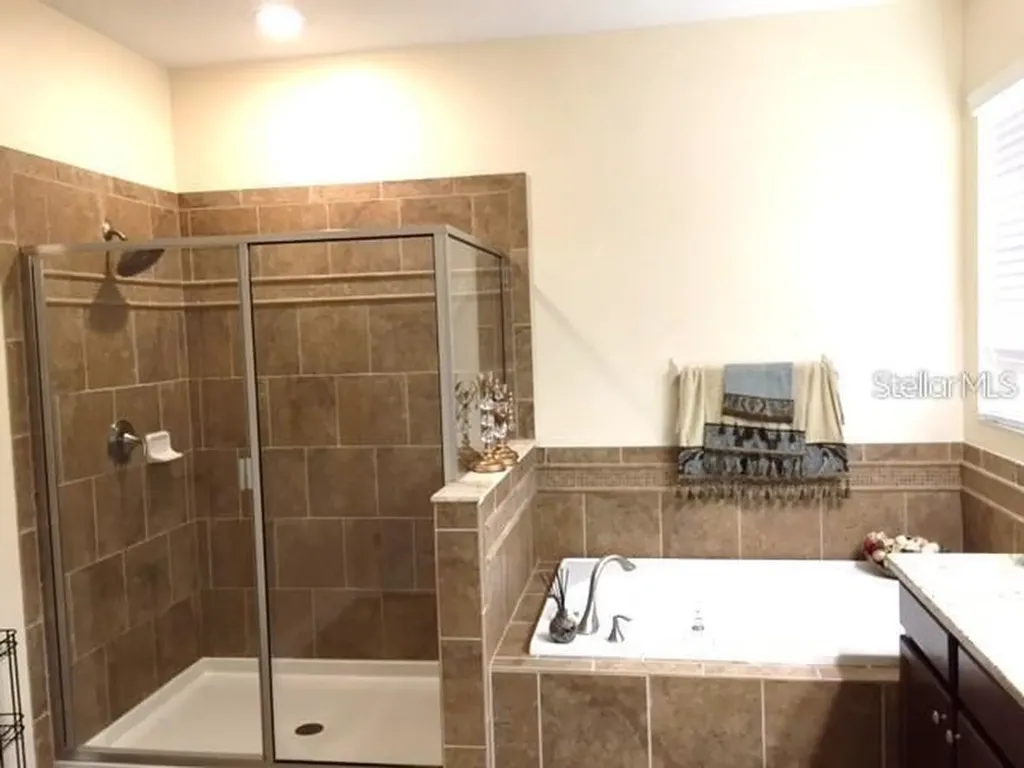 19335 Paddock View Drive Tampa FL 33647