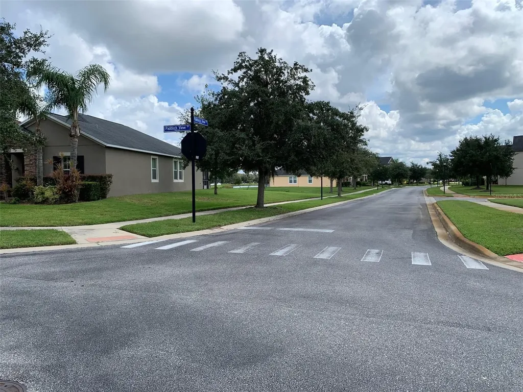 19335 Paddock View Drive Tampa FL 33647