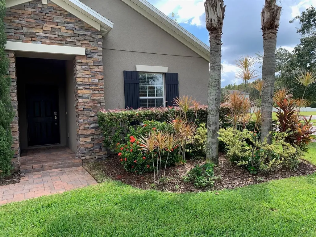 19335 Paddock View Drive Tampa FL 33647