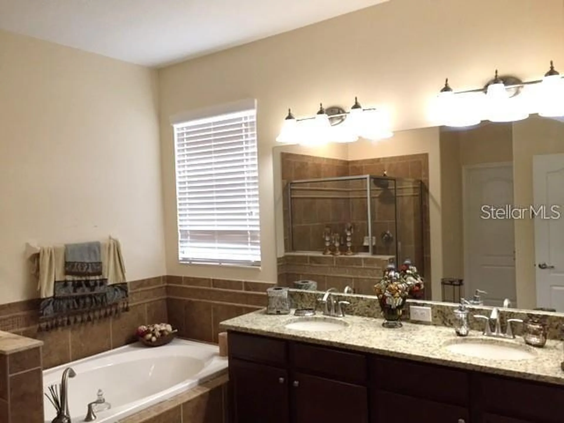 19335 Paddock View Drive Tampa FL 33647