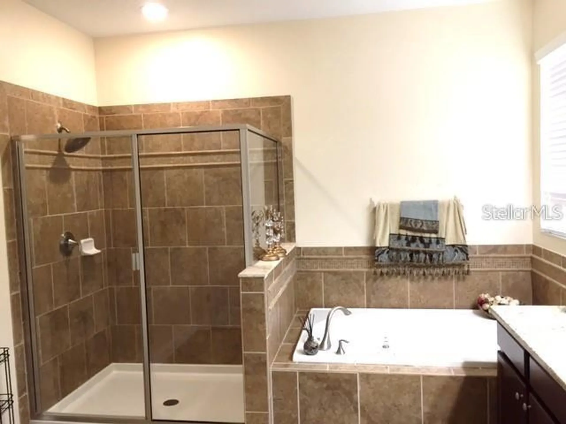 19335 Paddock View Drive Tampa FL 33647