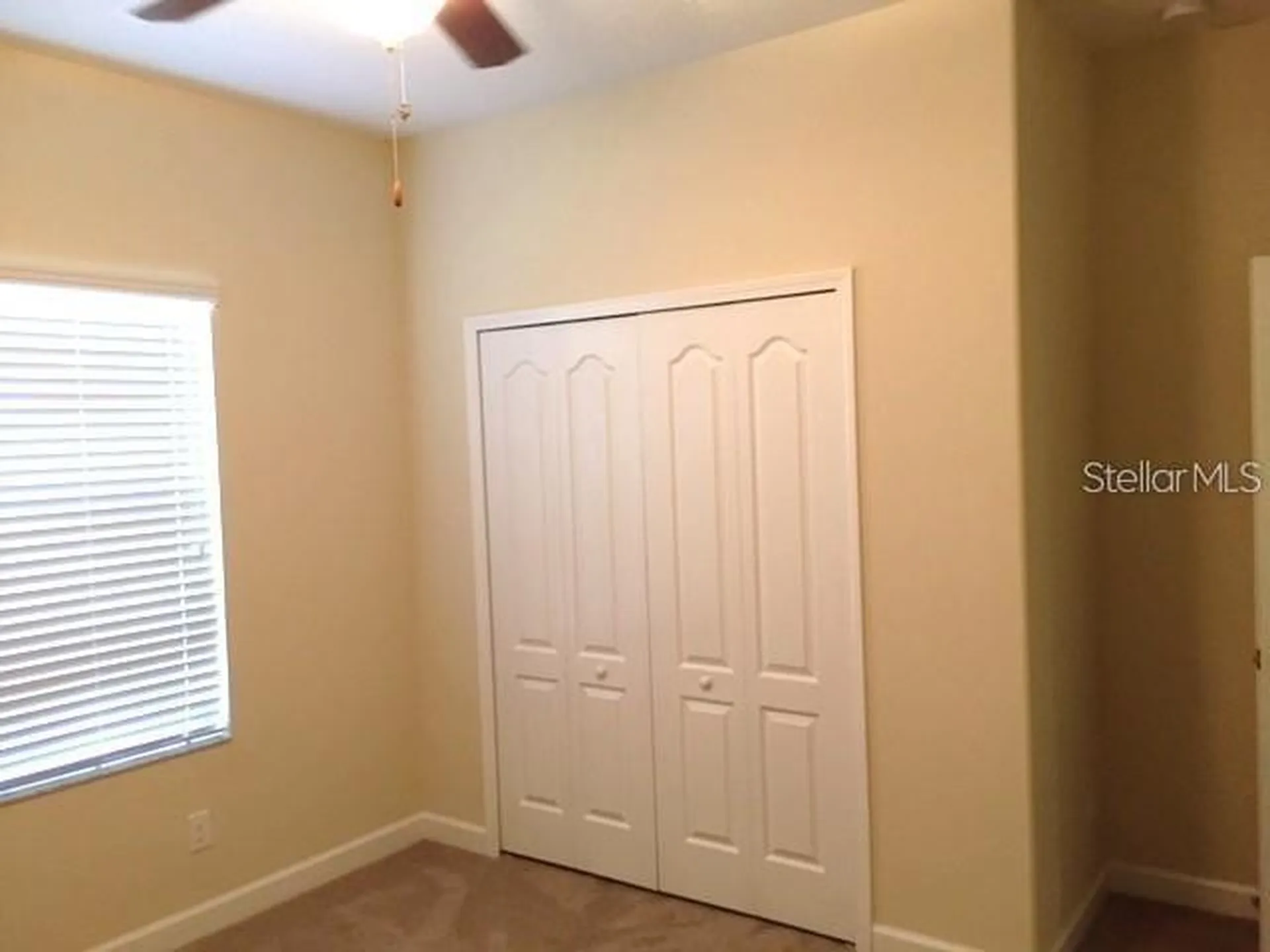 19335 Paddock View Drive Tampa FL 33647