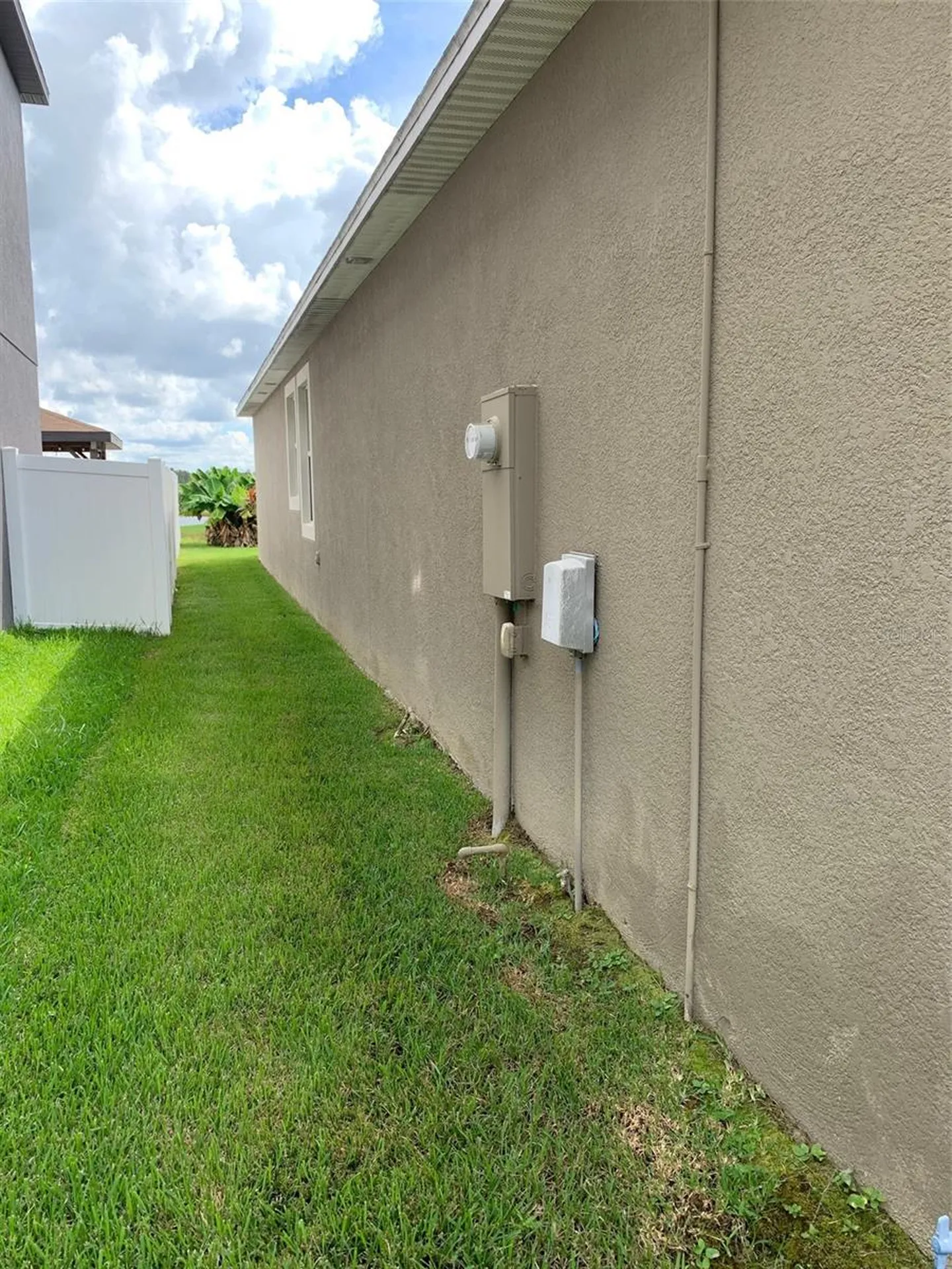 19335 Paddock View Drive Tampa FL 33647