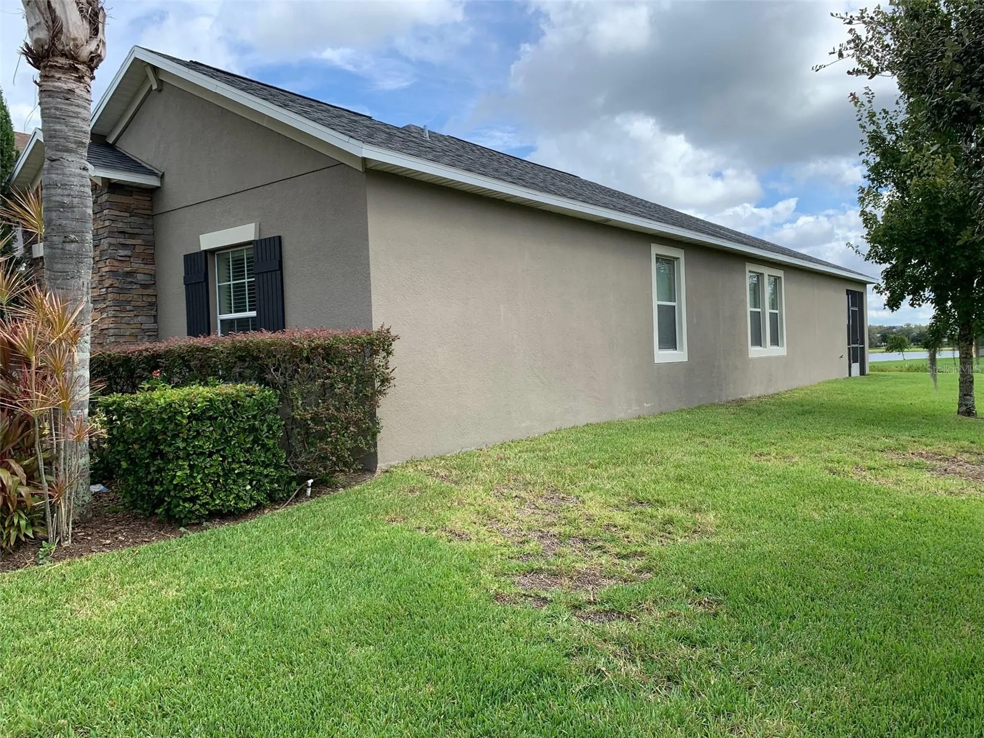 19335 Paddock View Drive Tampa FL 33647