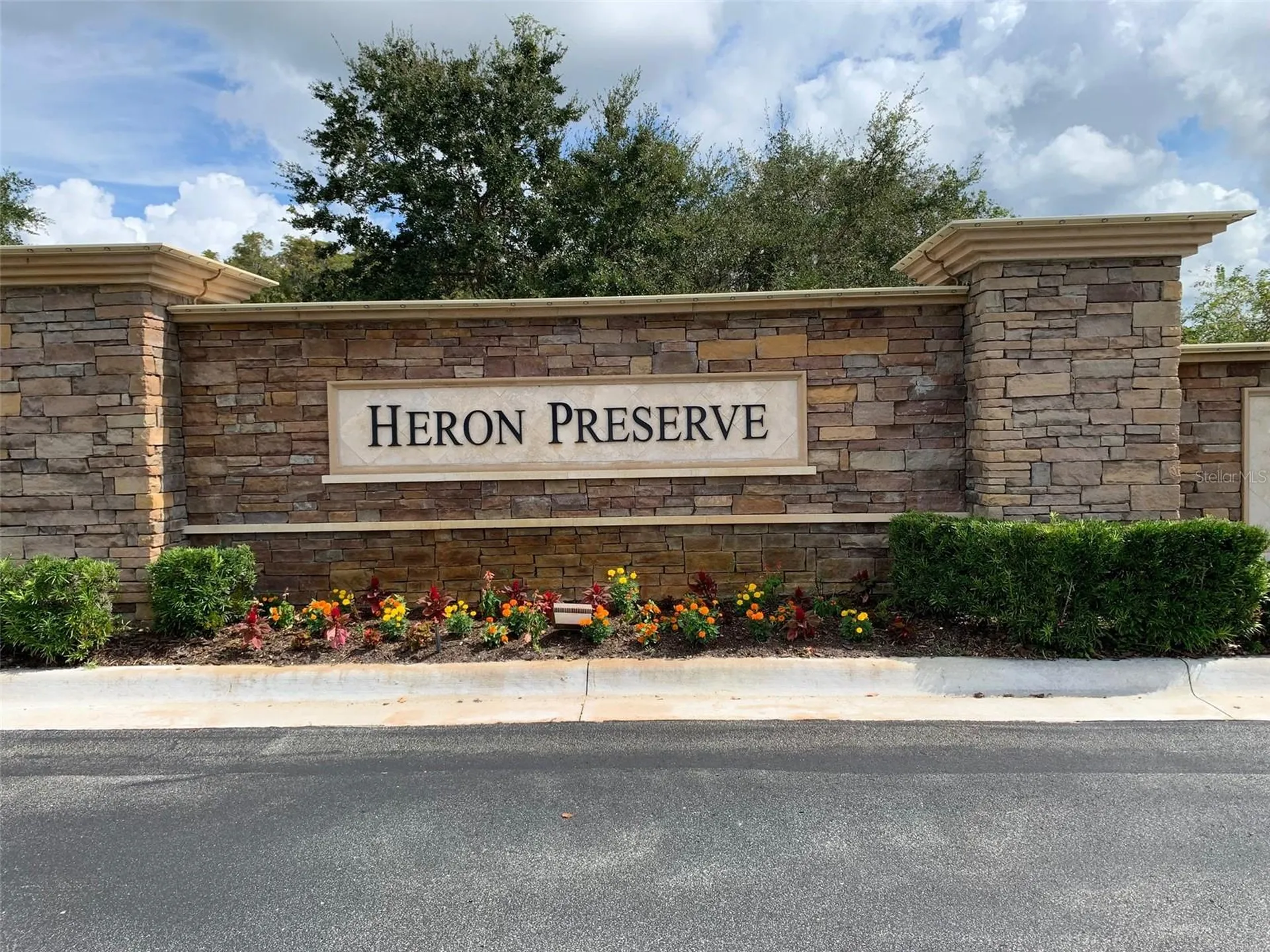19335 Paddock View Drive Tampa FL 33647
