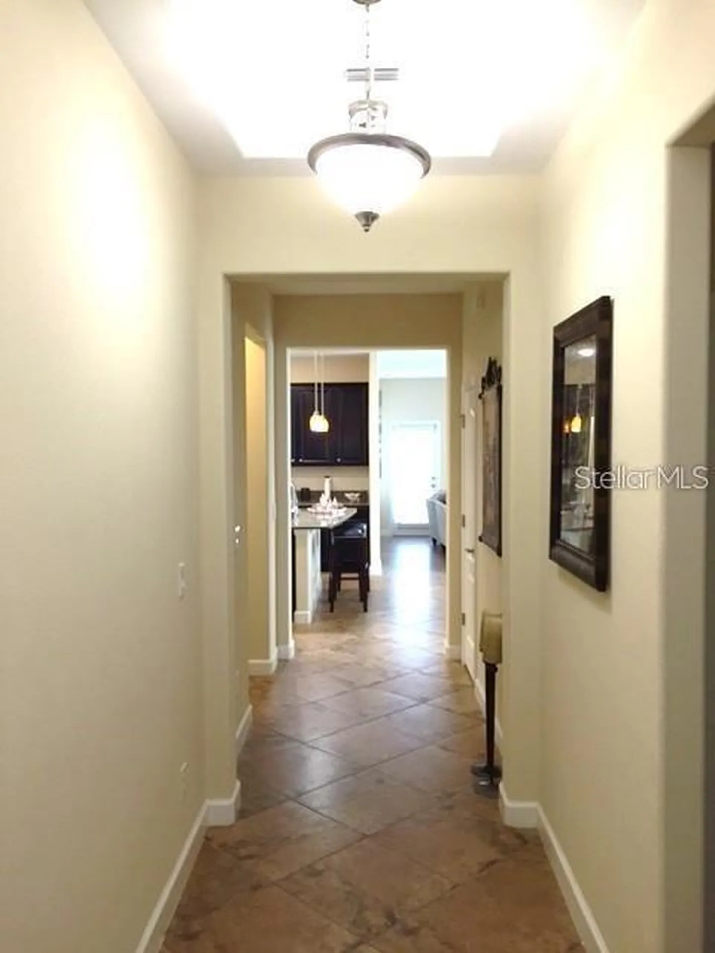 19335 Paddock View Drive Tampa FL 33647