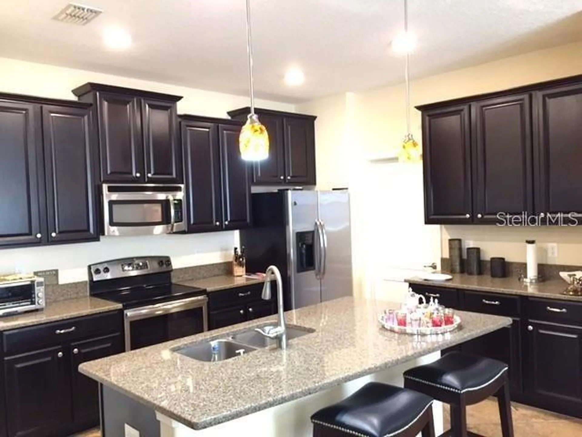 19335 Paddock View Drive Tampa FL 33647