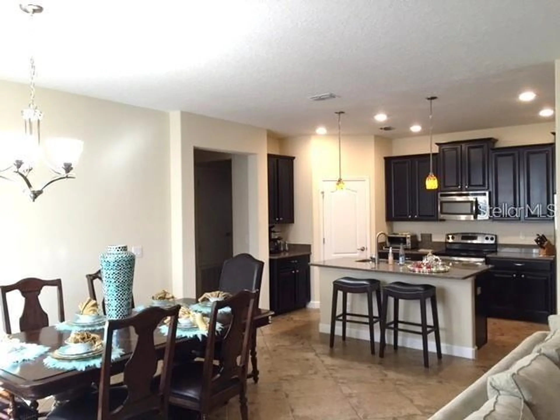 19335 Paddock View Drive Tampa FL 33647