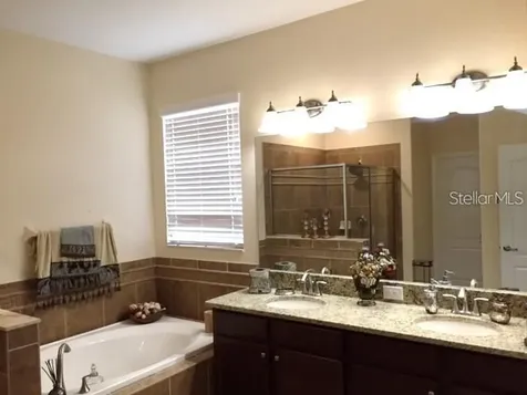 19335 Paddock View Drive Tampa FL 33647