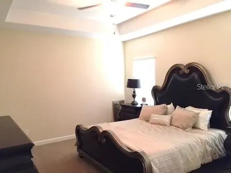 19335 Paddock View Drive Tampa FL 33647