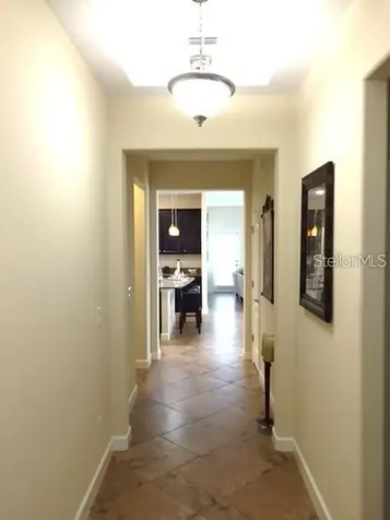 19335 Paddock View Drive Tampa FL 33647