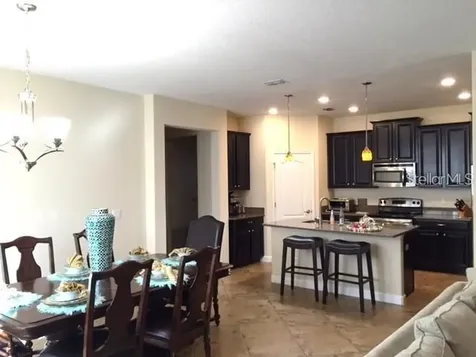 19335 Paddock View Drive Tampa FL 33647