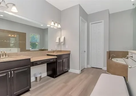 19419 Autumn Chase Court Land O Lakes FL 34638