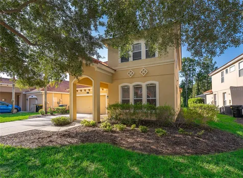 385 Orange Cosmos Boulevard Davenport FL 33837