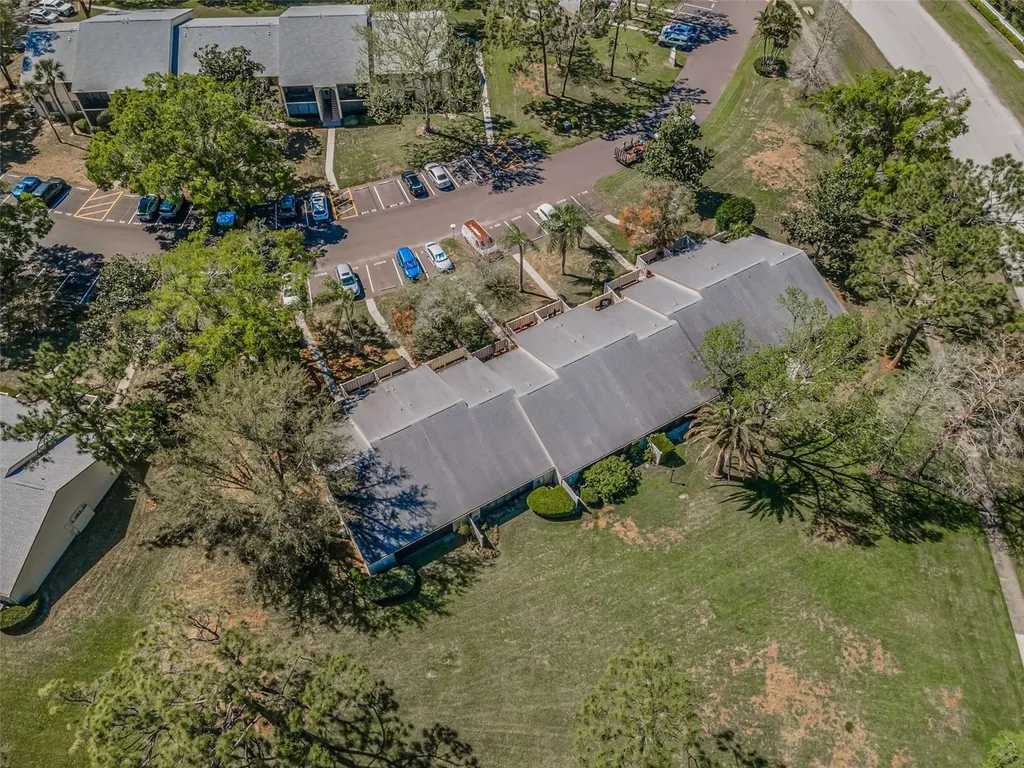 1333 Shady Pine Way Tarpon Springs FL 34688