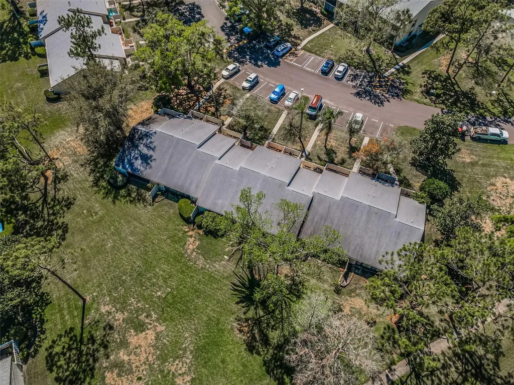 1333 Shady Pine Way Tarpon Springs FL 34688
