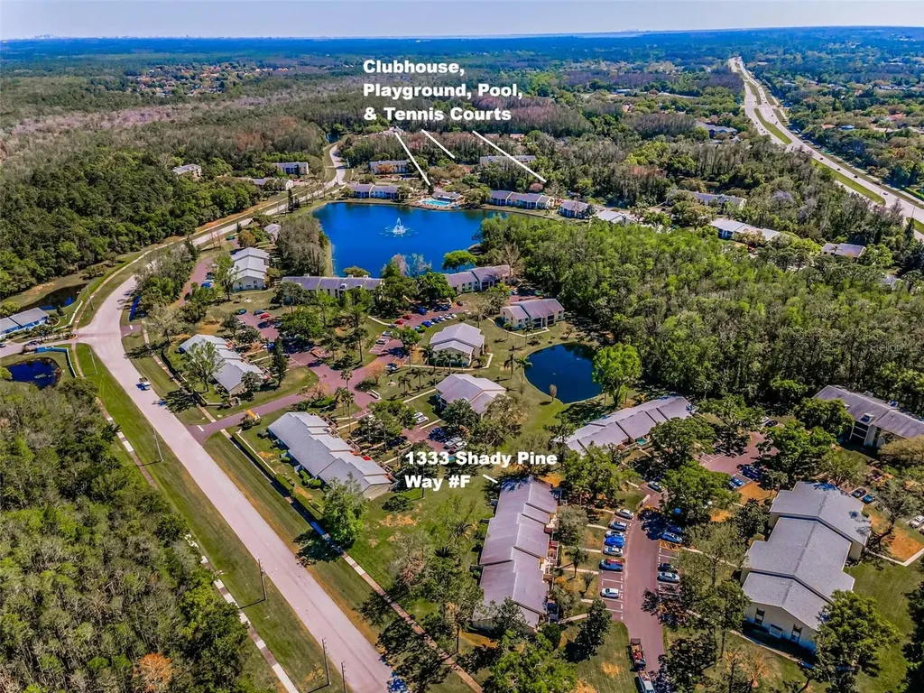 1333 Shady Pine Way Tarpon Springs FL 34688
