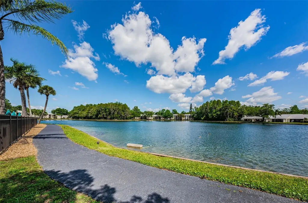 1333 Shady Pine Way Tarpon Springs FL 34688